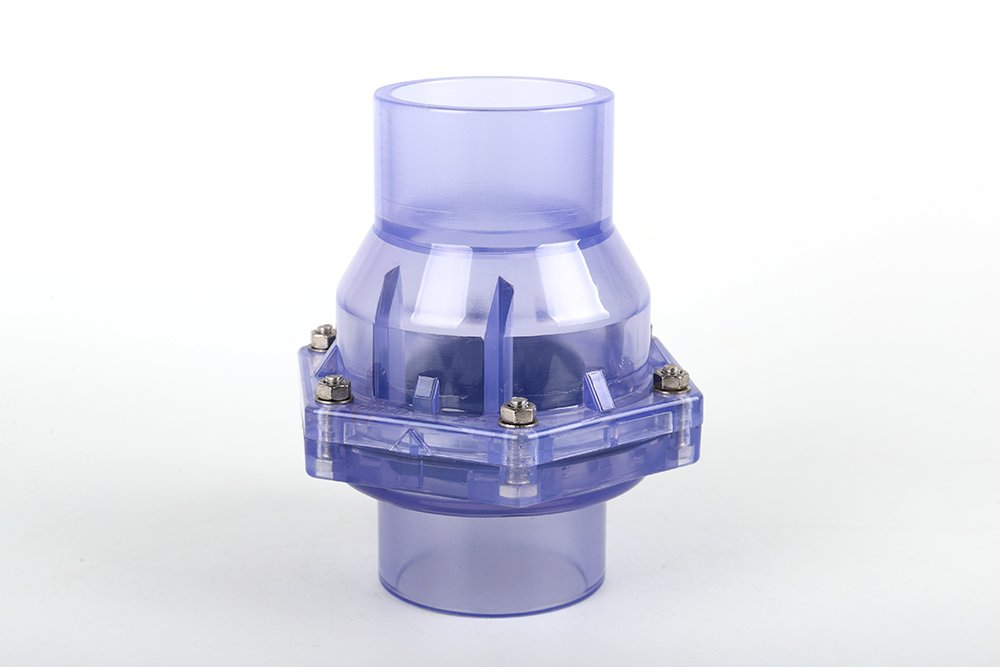 云龙透明翻板式止回阀